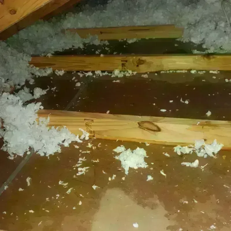 Attic Water Damage in Jacksonville, OR