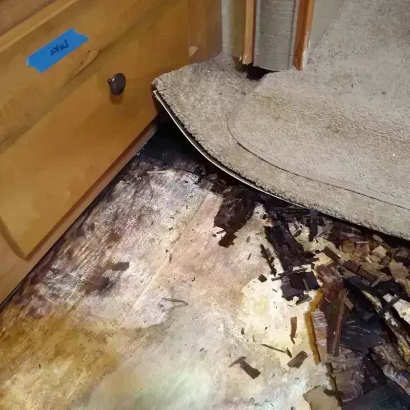 Wood Floor Water Damage in Jacksonville, OR